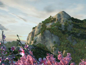 lotus mountain 3D Model