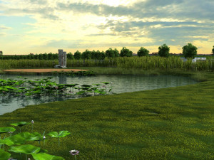 wetlands 3D Model
