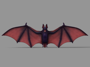 cartoon bats Modelo 3D