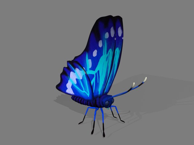 cartoon butterfly 3D Model .c4d .max .obj .3ds .fbx .stl .blend