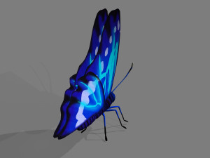 cartoon butterfly 3D Model