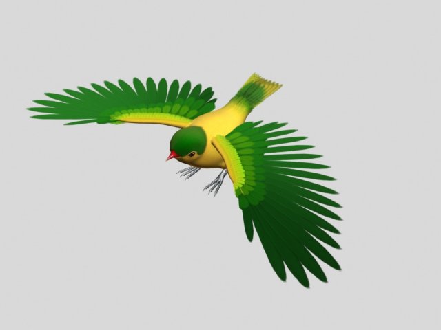 cartoon oriole bird 3D Model .c4d .max .obj .3ds .fbx .stl .blend 