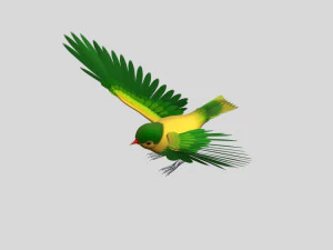 cartoon oriole bird 3D Model