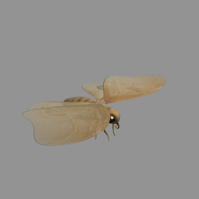cartoon moths Modelo 3D .c4d .max .obj .3ds .fbx .stl .blend 