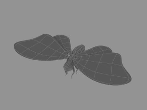 cartoon moths 3D Model