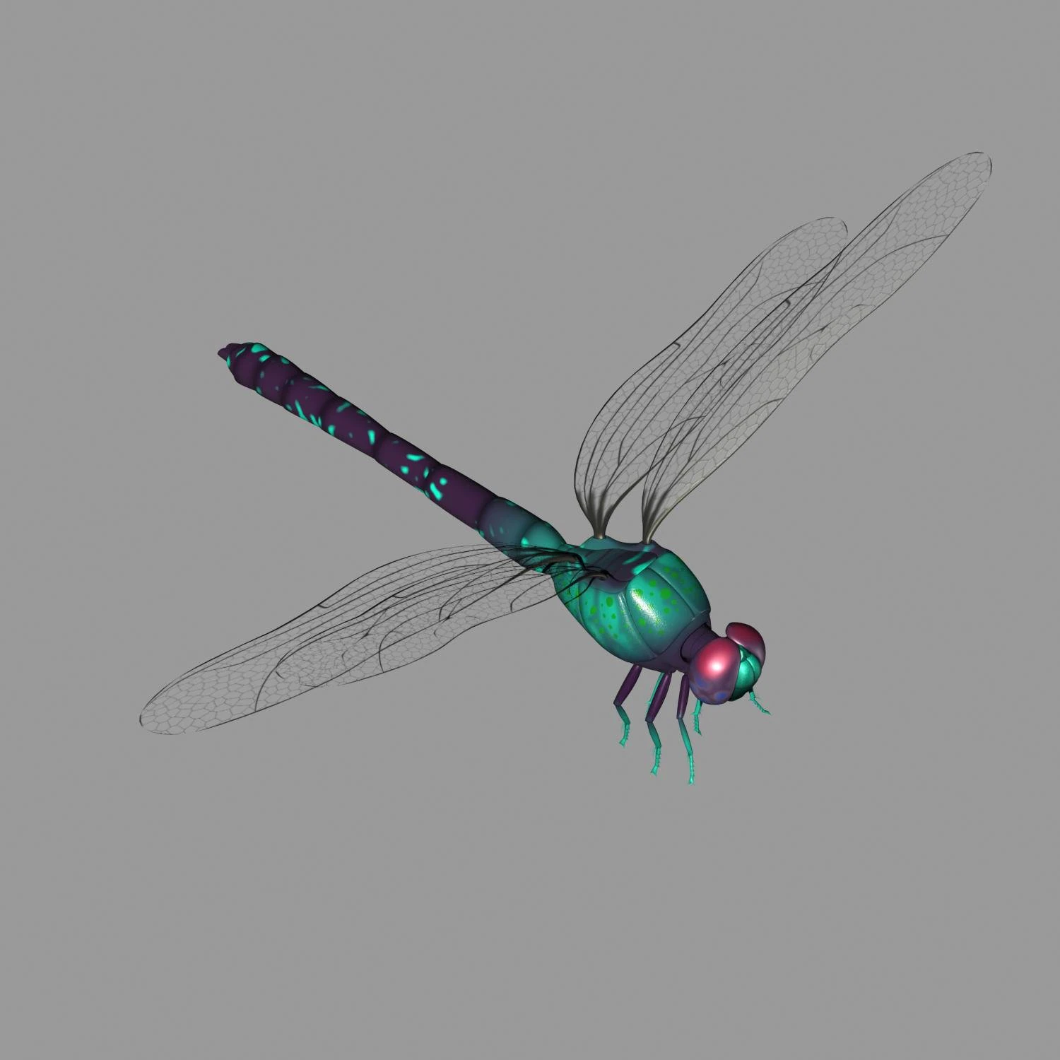 cartoon dragonfly 3D Model .c4d .max .obj .3ds .fbx .stl .blend 