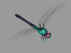 cartoon dragonfly Modelo 3D