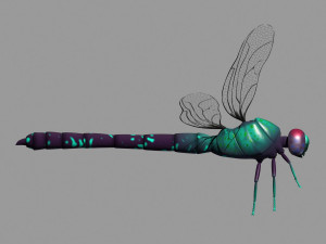 cartoon dragonfly Modèle 3D