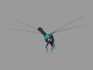 cartoon dragonfly Modèle 3D