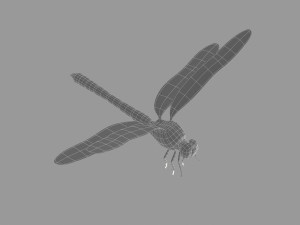 cartoon dragonfly Modèle 3D