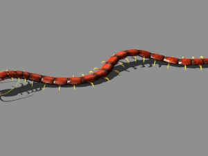cartoon centipede 3D Model