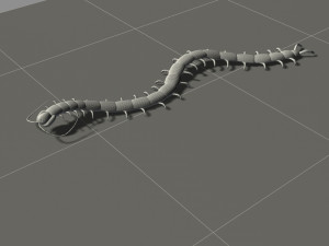 cartoon centipede 3D Модель