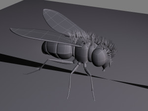 cartoon flies 3D 모델