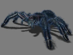 ara&ntilde;a de dibujos animados Modelo 3D