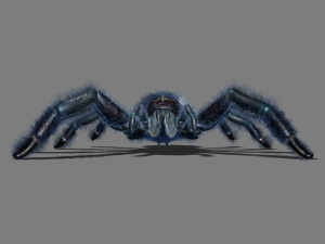 cartoon spider Modèle 3D