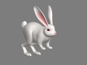 cartoon rabbit 3D Model