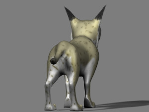 cartoon bobcats 3Dモデル