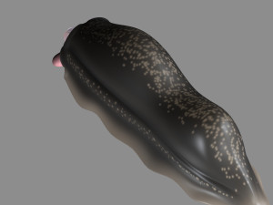 cartoon firefly larvae 3Dモデル