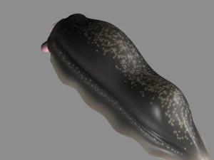 cartoon firefly larvae 3D Model