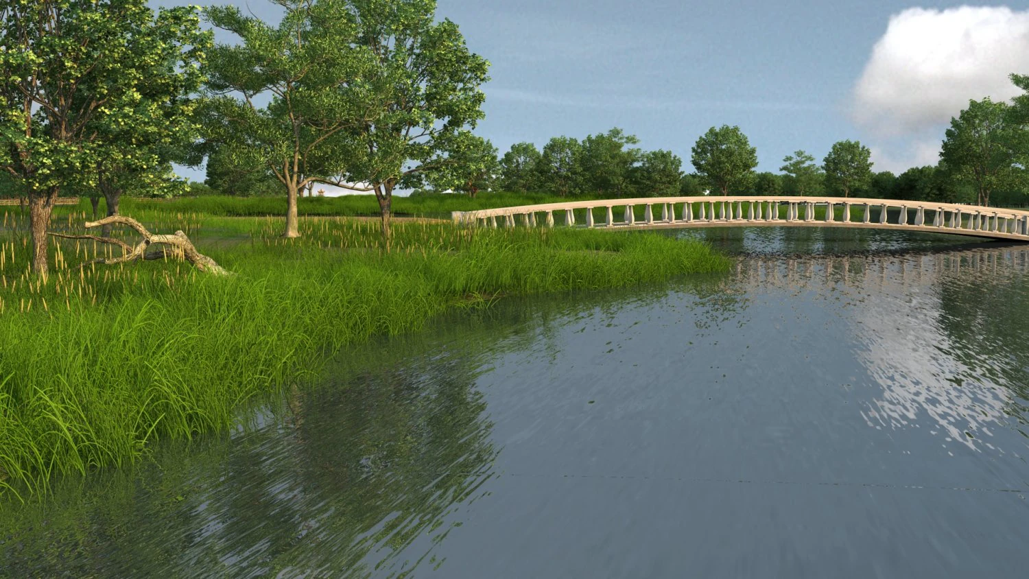 wetlands 3D Model .c4d .max .obj .3ds .fbx .stl .blend 