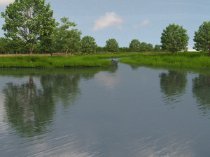 wetlands 3D Модель