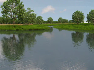 wetlands 3D Model