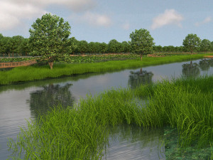 wetlands 3D Модель