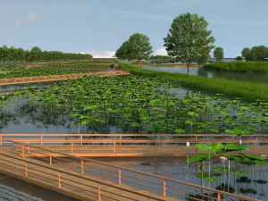 wetlands 3D Model