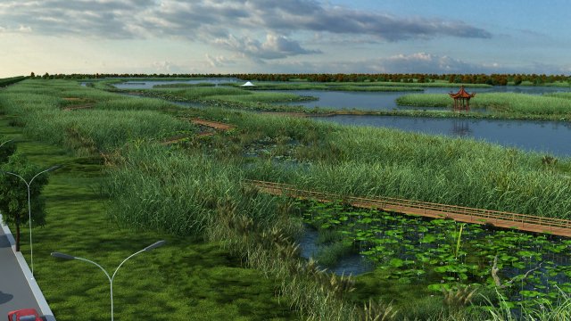 wetlands 3D Model .c4d .max .obj .3ds .fbx .stl .blend