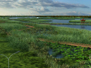 湿地 3Dモデル