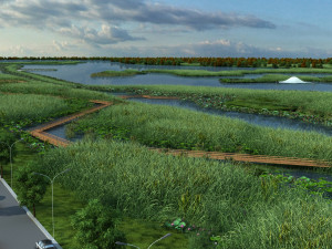 wetlands 3D Model