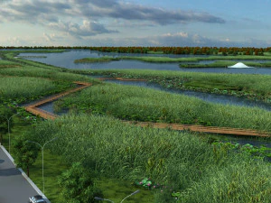wetlands 3D Model