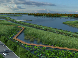 wetlands 3D Model