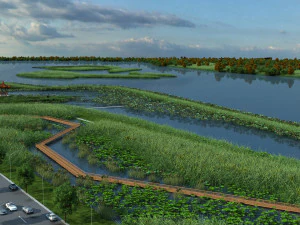 wetlands 3D Model