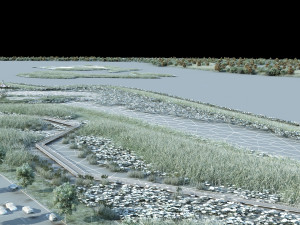 wetlands 3D Model