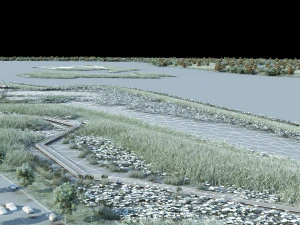 wetlands 3D Model
