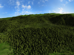 hulunbeier prairie 3D Model