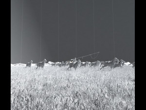 set the horse 3D-Modell