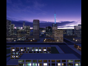fireworks 3D 모델