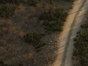 suburbs 3D-Modell