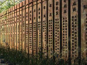 muralha antiga Modelo 3D