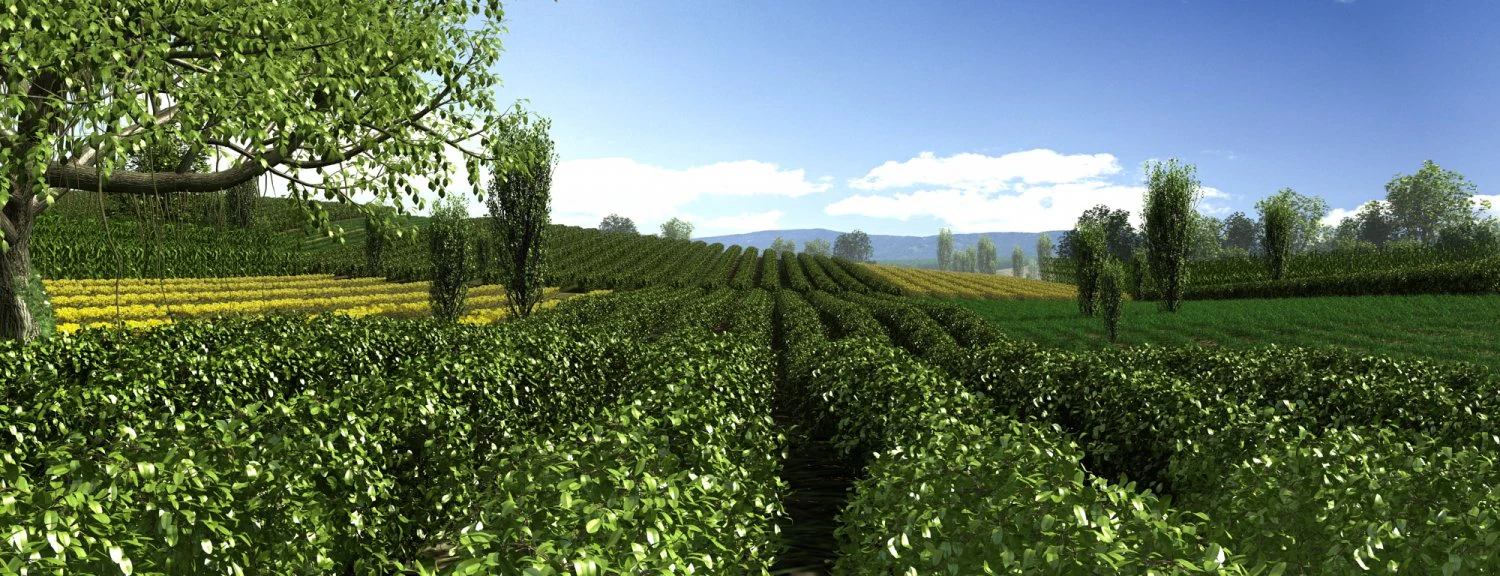 farmland 3D Model .c4d .max .obj .3ds .fbx .stl .blend 