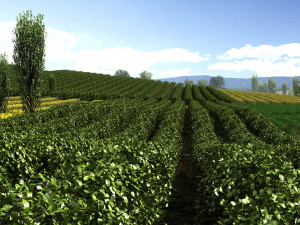 farmland Modèle 3D