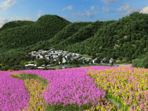 kuil Qingquan Model 3D