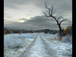winter suburbs 3D Модель
