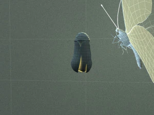 mariposa Modelo 3D