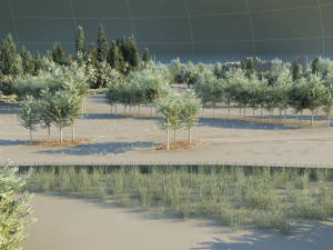 wetlands 3D Model