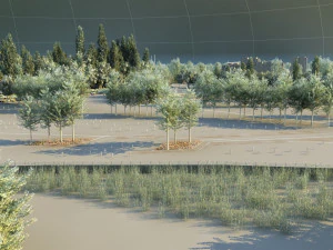 wetlands 3D Model