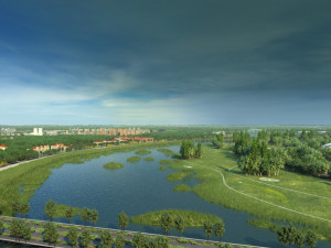 wetlands Model 3D