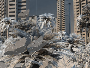 city building Model 3D
